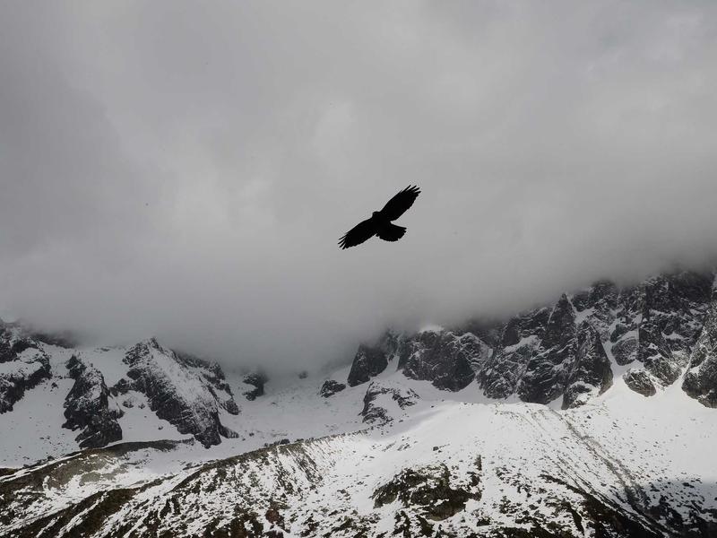 火星编年史<br>bcxjjkz.cn 移民火星日志